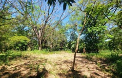 Playa del Coco, La Libertad, Sardinal, Guanacaste, Costa Rica, Sardinal, Guanacaste, Sardinal, Guanacaste