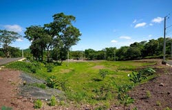 Secure Lot in Family Community , Tamarindo, Santa Cruz, Guanacaste, Santa Cruz, Guanacaste 50309
