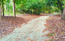 Golfito>Playa Zancudo, Puntarenas, Puntarenas, Puntarenas, Puntarenas