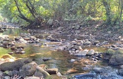 Exceptional 71-Acre Ocean View & Riverfront Development Property in Hatillo, Dominical , Dominical, Osa, Puntarenas, Osa, Puntarenas 60602