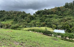 Coto Brus>San Vito, San Vito, Puntarenas, San Vito, Puntarenas