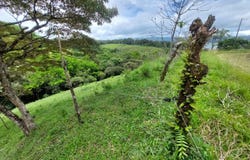 RIVER ROCK HILLS, Tierras Morenas, Guanacaste