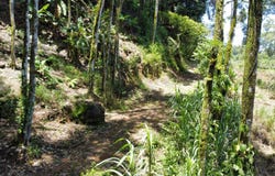 Hatillo de Savegre, Puntarenas, Costa Rica, Savegre, Puntarenas, Savegre, Puntarenas