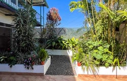 Orosí, Paraiso, Cartago, Paraiso, Cartago