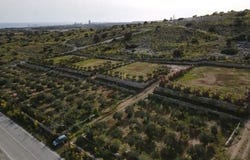 Larnaca, Larnaca