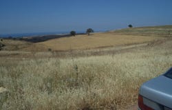 Limassol, Paphos 8505