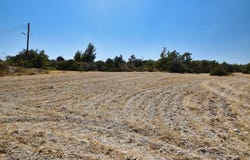 Alethrikó, Larnaca