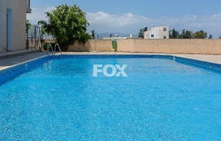 Pólis, Paphos