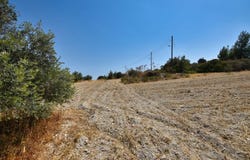 Alethrikó, Larnaca