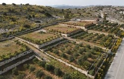 Larnaca, Larnaca