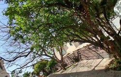 Lárnax, Larnaca