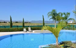 Pólis, Paphos