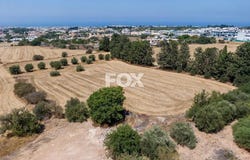 Mesógi, Paphos