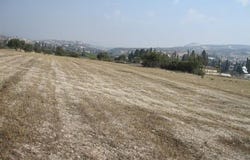 Lárnax, Larnaca