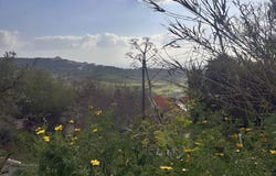 Armou, Paphos