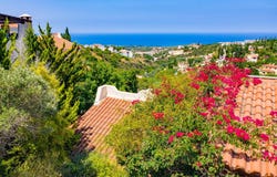 Paphos, Paphos