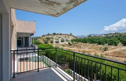Pólis, Paphos