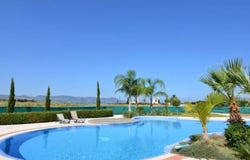 Pólis, Paphos