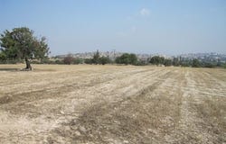 Lárnax, Larnaca