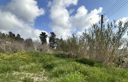 Armou, Paphos