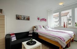 Schleißheimer Straße, 257, München, Bayern 80809