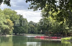 Köln, North Rhine-Westphalia 50677