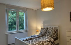 Feldstraße, 64, Herten, Nordrhein-Westfalen 45699