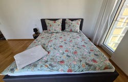Hafeninsel, Offenbach, Hessen 63067