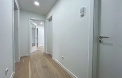 Karl-Witthalm-Straße, Munich, Bavaria 81375