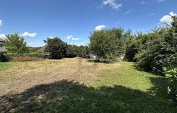 Friesenheim, Baden-Württemberg 77948