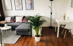Am Niddatal, 7, Frankfurt am Main, Hessen 60488