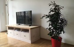 Frankenallee, Frankfurt am Main, Hessen 60327