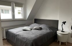 Werrastraße, 29, Essen, Nordrhein-Westfalen 45136