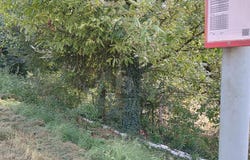 Merzig, Saarland 66663