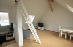 Riedstraße, Frankfurt am Main, Hessen 60388