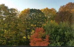 Struthbachweg, 31, Kassel, Hessen 34127