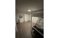 Mergelkuhle, 55, Dortmund, Nordrhein-Westfalen 44359