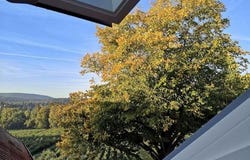 Borgloher Straße, 51, Georgsmarienhütte, Niedersachsen 49124