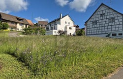 Allensbach, Baden-Württemberg 78476