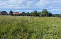 Riepsdorf, Schleswig-Holstein 23738