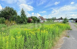 Itzehoe, Schleswig-Holstein 25524