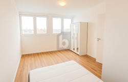 Mannheim, Baden-Württemberg 68309