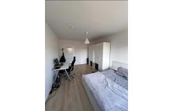 Kölner Straße, Düsseldorf, North Rhine-Westphalia 40211
