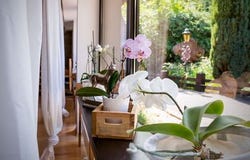 Bürenbruch, 26, Schwerte, Nordrhein-Westfalen 58239