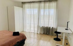 Netzerstraße, 74, München, Bayern 80992