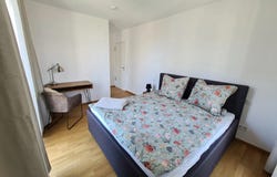 Hafeninsel, Offenbach, Hessen 63067
