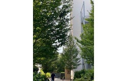 Horexstraße, 18, Bad Homburg vor der Höhe, Hessen 61348