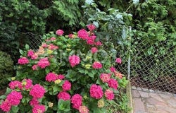 Au in der Hallertau, Bavaria 84072