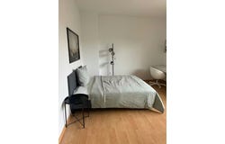 Luegallee, Düsseldorf, North Rhine-Westphalia 40545