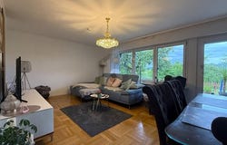 Achern, Baden-Württemberg 77855